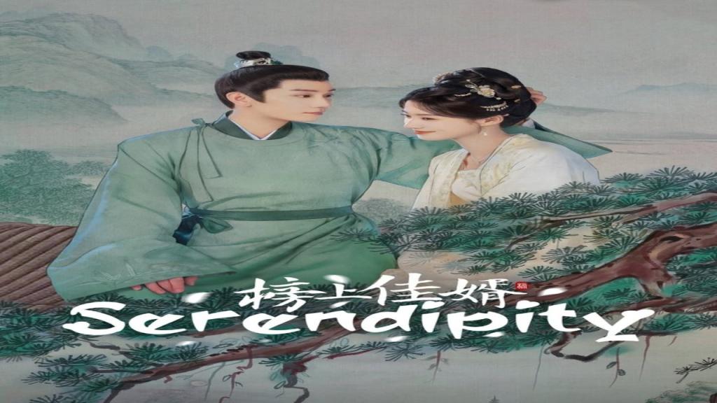 مسلسل الصدفة Serendipity الحلقة 40 الاربعون والاخيرة مترجمة